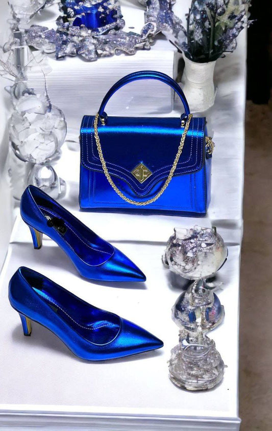 Elegant Ladies shoe and bag